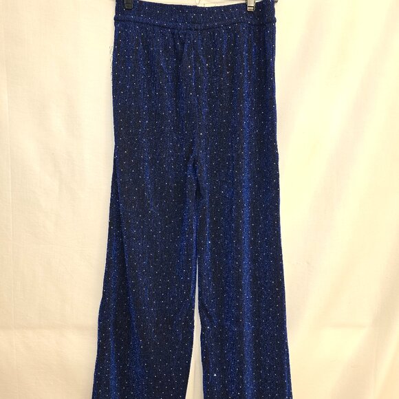 Blue Metalic Pants with Rhinestones - Picture 3 of 3